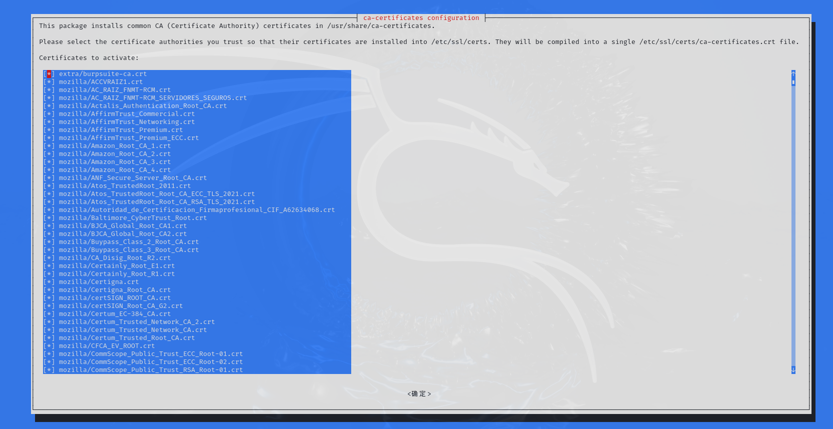 image-20240722224550408